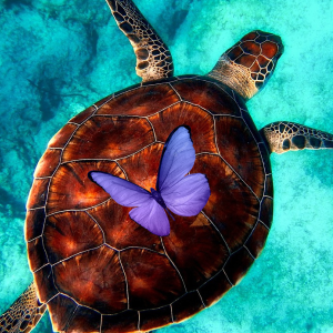 Inicia tu Viaje al Bienestar Mental y Transforma Tu Vida