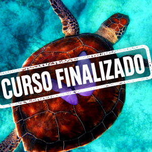 Inicia tu Viaje al Bienestar Mental y Transforma Tu Vida