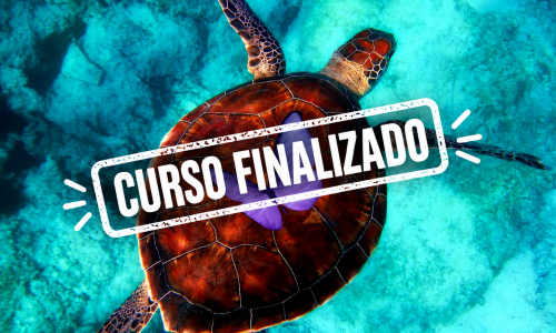 miniatura del curso