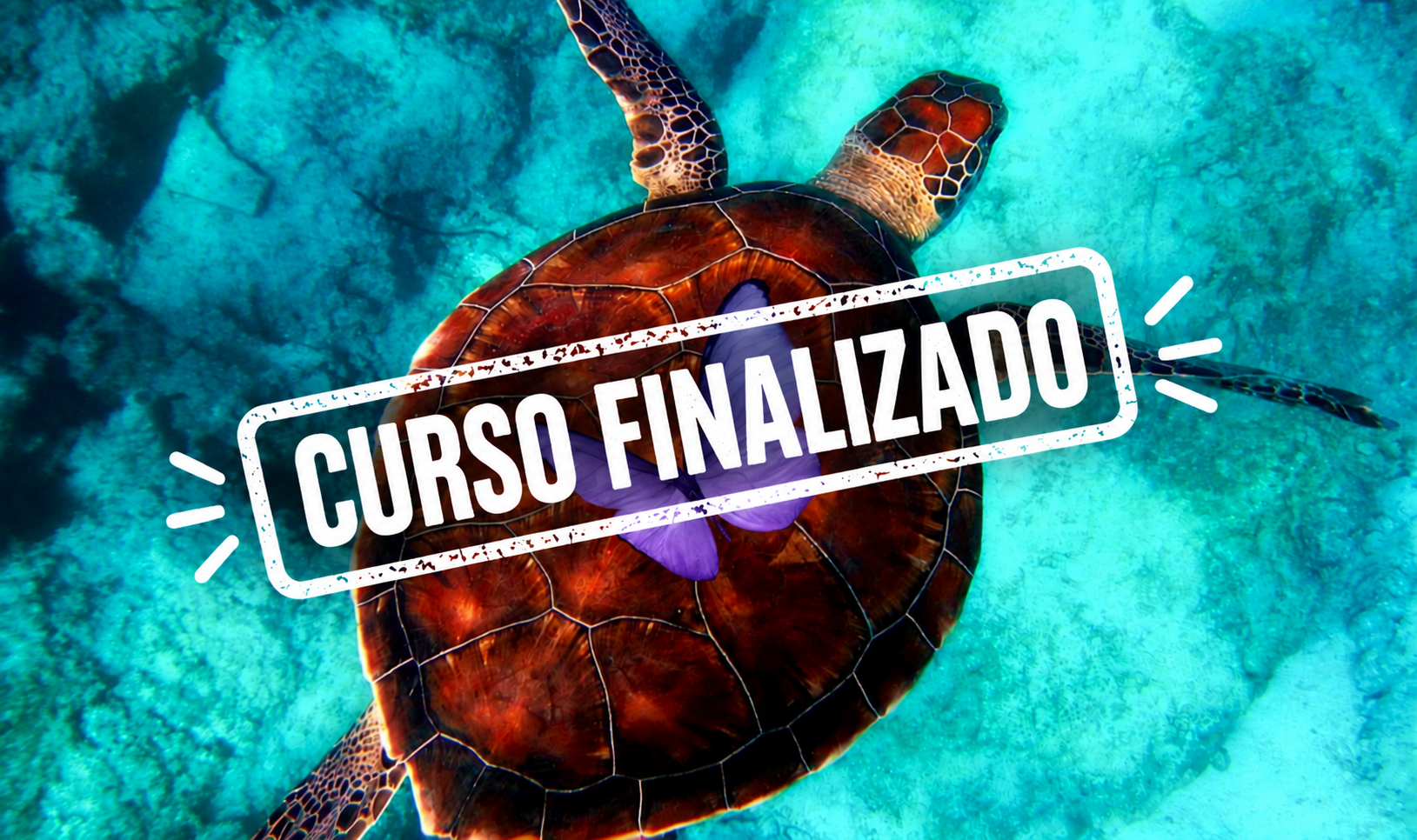 miniatura del curso
